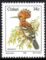 Ciskei - 1981 Birds 14c Hoopoe MNH** - Ciskei