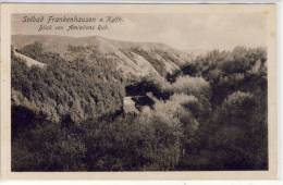 Frankenhausen - Solbad - Blick  Von  Amindens  Ruh - 1919 - Bad Frankenhausen