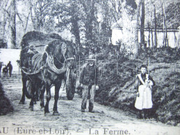 28 - AUNEAU - LA FERME - BELLE CARTE - - Auneau