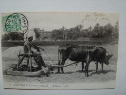 EGYPTE -Scènes Et Types. Un Norag - Personnes