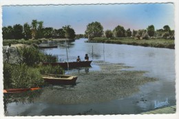 49 - Tierce           La Sarthe à Porte-Bise - Tierce