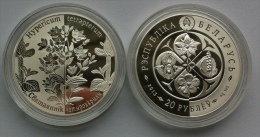 Belarus 20 Roubles 2013 "Square-stemmed St. John’s-wort" Silver PROOF - Wit-Rusland