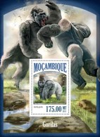 Mozambique. 2013 Gorillas. (514b) - Gorilles