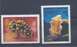 140012459  N.  CALEDONIA  YVERT   Nº  594/5  **/MNH - Unused Stamps