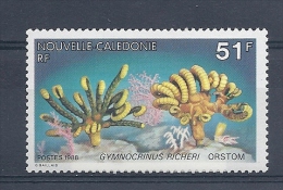 140012461  N.  CALEDONIA  YVERT   Nº  557  **/MNH - Unused Stamps