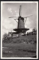 Goes, Molen. (echte Foto) - Goes