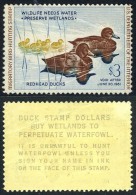 US RW27 Mint Never Hinged Duck Stamp From 1960 - Duck Stamps