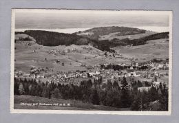 AI OBEREGG 1948.VI.7. Oberegg  Mit Bodensee Foto Eggenberger - Oberegg