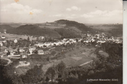 5523 WAXWEILER, Panorama - Bitburg