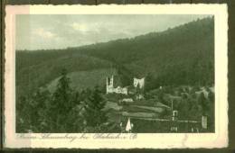OBERKIRCH CPA 1928 Ruine Schauenburg - Oberkirch