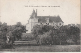 Jallieu  (38) Le Château De Bel-Accueil - Jallieu