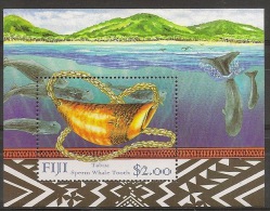 FIJI Sperm Whale - Ballenas