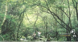 Tree Forest Photography Camera ,  Specimen Pre-stamped Card , Postal Stationery - Fotografie