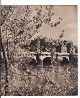 Cartes Années 1950 Albert Monier :le Printemps,la Seine,fleurs De Paris,détails Notre-dame - Monier