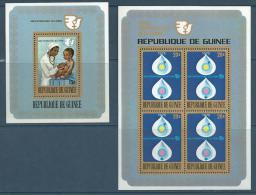 Guinée Bloc YT 30 Et 31 " Année De La Femme " 1976 Neuf** - Guinea (1958-...)