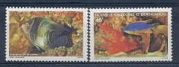 140012532  N. CALEDONIA  YVERT  Nº  551/2  **/MNH - Unused Stamps