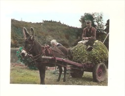 Blankenheim 1954 - Euskirchen