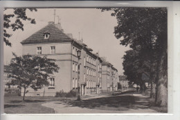 0-1260 STRAUSBERG, Wriezener Strasse, Neubauten, 1963 - Strausberg