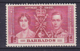 Barbados 1937 Mi 152      1 P King George VI. Coronation MH* - Barbados (...-1966)