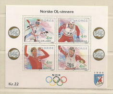 NORVEGE   ( EUNOR - 55 )    1993    N° YVERT ET TELLIER       N° 19     N** - Blocs-feuillets