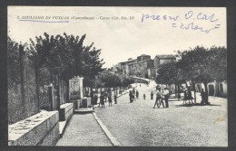 Delcampe - 7401-S.GIULIANO DI PUGLIA(CAMPOBASSO)-CORSO VITTORIO EM. III-ANIMATISSIMA-FP - Campobasso