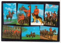 Royal Canadian Mounted Police - Moderne Ansichtskarten