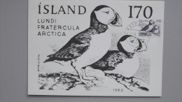 Island 559 YT 512 FA 596 Maximumkarte MK/MC, TS Reykiavik 1.6.1981, Papageitaucher (Fratercula Arctica) - Cartoline Maximum