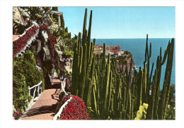 Monaco: Jardin Exotique, Cactus, Candelabre Et Agave (14-1769) - Exotische Tuin