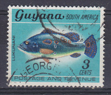 Guyana 1968 Mi. 303     3 C Fische Fish Augenfleck-Kammbarsch Lukunani - Guyana (1966-...)