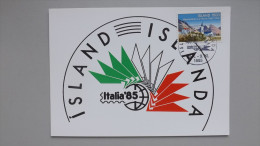 Island 585 YT 540 FA 622 Sc 561 Erinnerungskarte, SST ITALIA 1985, Landwirtschaftsschule In Hólar - Maximumkaarten