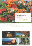 FRANCE REUNION Lettre Brief Cover Illustration Fruits De La Réunion Et Paysages Au Dos 2006 - Storia Postale