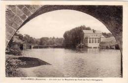 ENTRAMMES - Un Coin Sur La Mayenne Au Pont De PORT RHINGEARD   (67827) - Entrammes