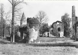 Fontenay-Trésigny - Château Royal Du Vivier-en-Brie - Ruines Féodales Des XIIIe Et XIVe Siècle - Carte Non Circulée - Fontenay Tresigny
