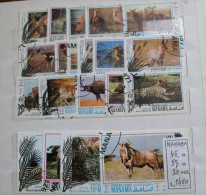 MANAMA  ANIMALI LOTTO 20 VALORI    USATI - Used Stamps