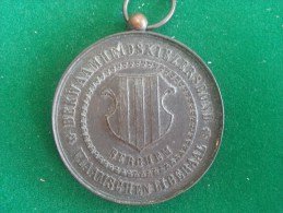 Vlaamsch En Liberaal, Bekwaamheidskiezrsbond, Berchem, Volksfeest 21/9/1890 (Baetes), 52 Gram (medailles0092) - Other & Unclassified