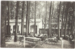 RATZEBURG Gruß Aus Waldesruh Inh J Schümann Bahnpost HAGENOW NEUMÜNSTER Deutlich ZUG 1510 22.5.1913 - Ratzeburg