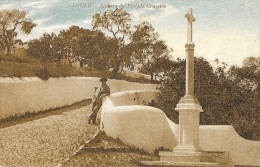 Loulé - Senhora Da Piedade Cruzeiro - Carte Non Circulée - Faro