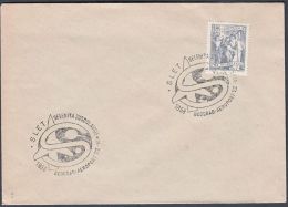 Yugoslavia 1958, Cover  W./ Special Postmark "SLET, Belgrade", Ref.bbzg - Brieven En Documenten