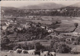 Scan2 : Pyrénées Atlantique, Cambo-les-Bains : Vue Générale - Cambo-les-Bains