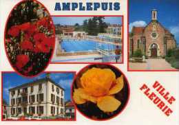 69  AMPLEPUIS Ville  Fleurie, Rose,  Pavots? Piscine - Amplepuis