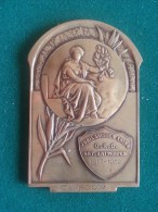 Jubilarissen Kring O.R.D. Groot Antwerpen, 1917-1952, C. Vroom, 174 Gram (medailles0108) - Otros & Sin Clasificación