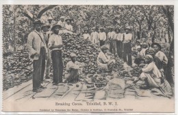 TRINIDAD  BREAKING COCOA - Trinidad