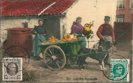 Postcard (Ethnics) - Belgium Laitière Flamande - Sin Clasificación