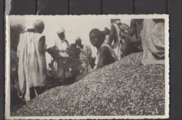 Niger - Maradi - Marché D'arachides - Niger