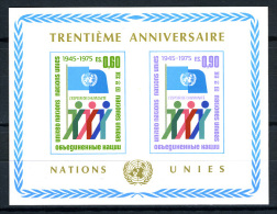 1975 - U.N. OFFICES IN GENEVA - ONU UFFICIO DI GINEVRA - Catg. Mi Block 1- MINT - MNH (PGS01062011) - Blocks & Kleinbögen