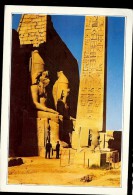 Carte Postale EGYPTE LUXOR TEMPLE - Luxor