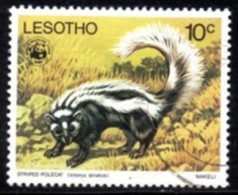 Lesotho - 1977 WWF Endangered Species 10c Polecat (o) # SG 331 , Mi 230 - Oblitérés