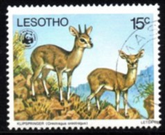 Lesotho - 1977 WWF Endangered Species 15c Klipspringer (o) # SG 332 , Mi 231 - Gebruikt