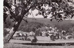 BF12884 Le Hohwald Alsace Vue Generale   France Front/back Image - Hohwald (Sachsen)