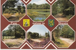 BF12743 Puur Natuur In Drente Netherland Front/back Image - Other & Unclassified